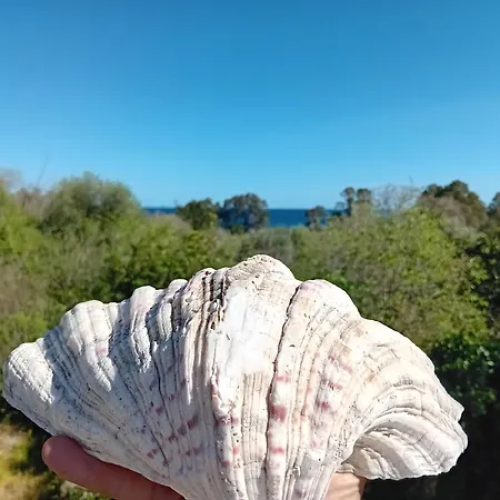 Appartamento Brezza Marina