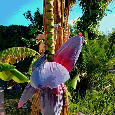 Appartamento Brezza Marina Giardini Naxos